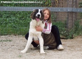 Tundra in famiglia